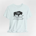 Arkansas Buffalo National River Tee
